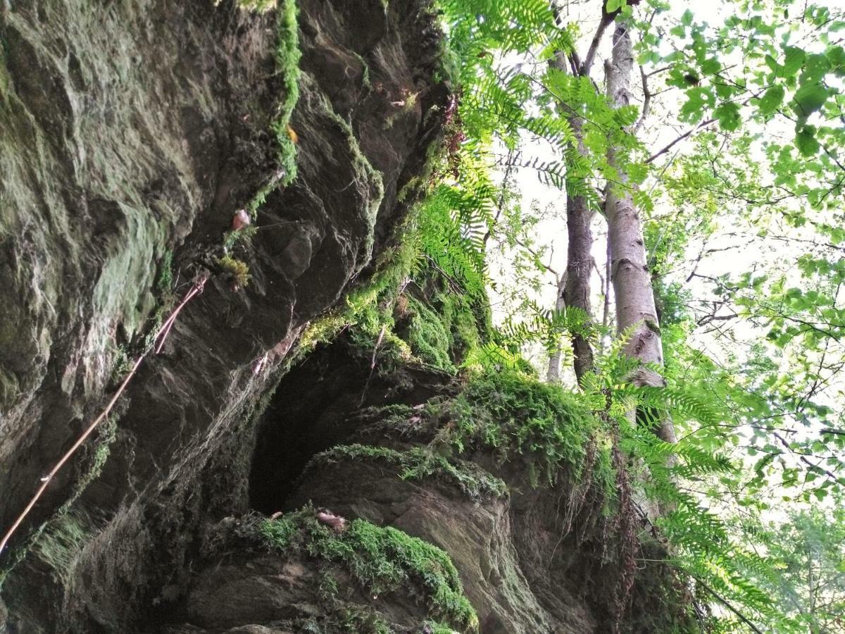 Fewo Well Gladenbach Esterno foto