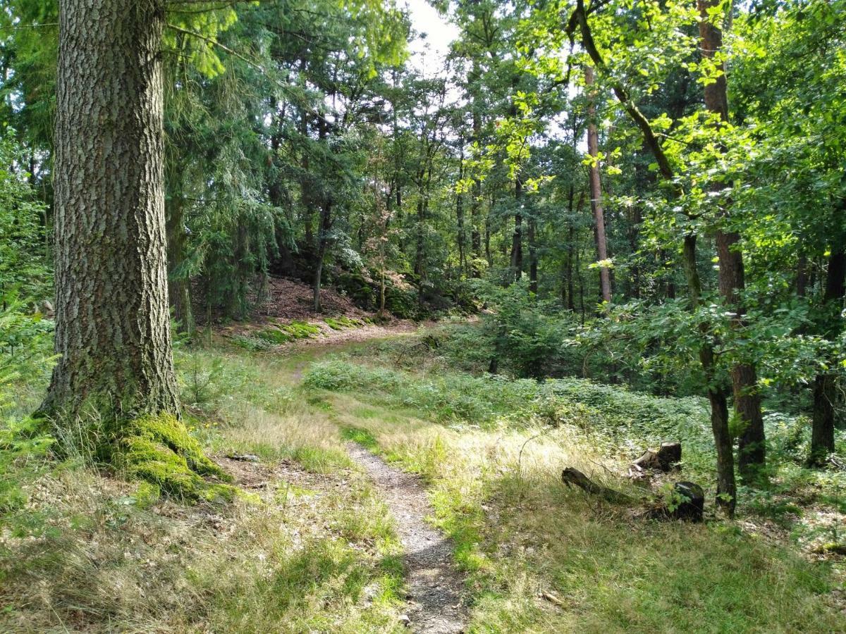 Fewo Well Gladenbach Esterno foto