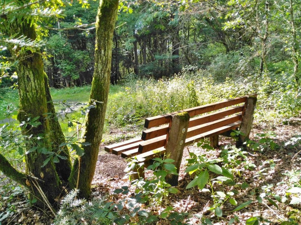 Fewo Well Gladenbach Esterno foto