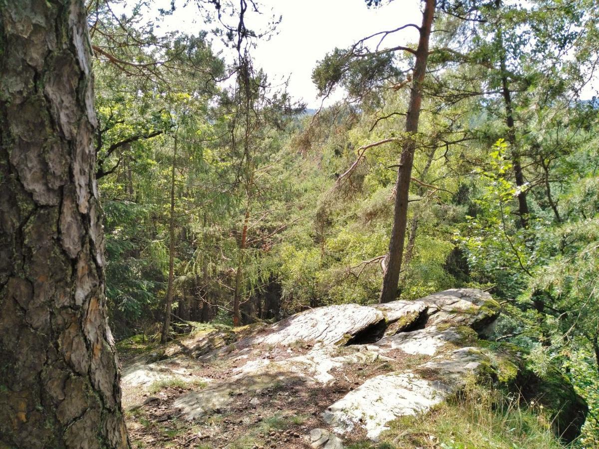 Fewo Well Gladenbach Esterno foto