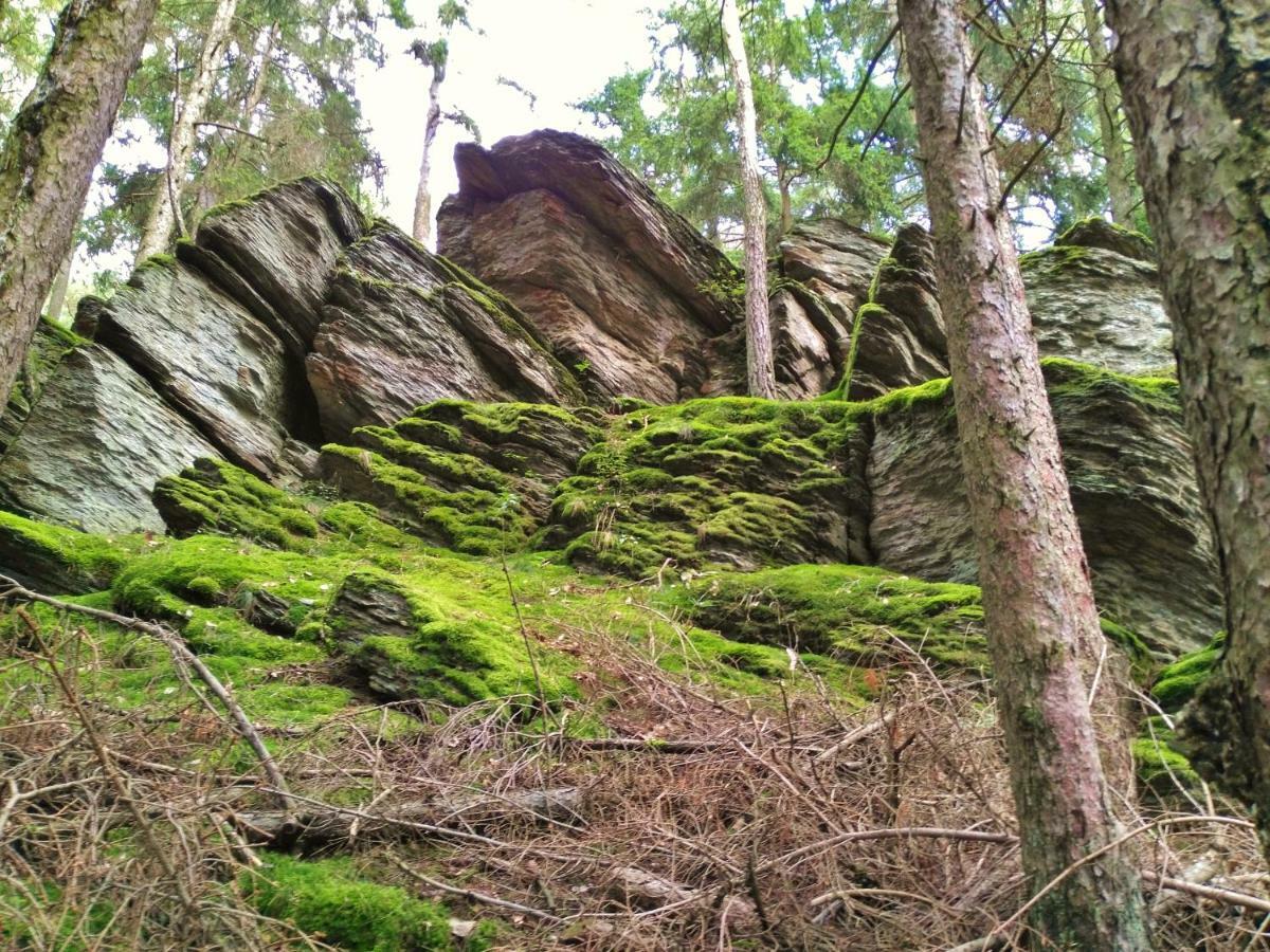 Fewo Well Gladenbach Esterno foto