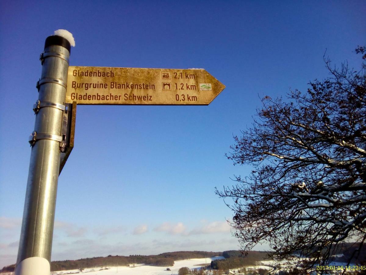 Fewo Well Gladenbach Esterno foto